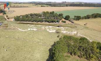 Imagem 2: Sítio em Tatuí SP