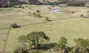 Imagem: Sítio em Tatuí SP