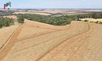 Imagem: Fazenda a venda em São Miguel Arcanjo SP