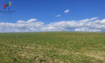 Imagem 6: Fazenda Região Botucatu SP