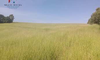 Imagem 2: Fazenda Região Botucatu SP