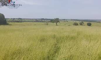 Imagem 7: Fazenda Região Botucatu SP