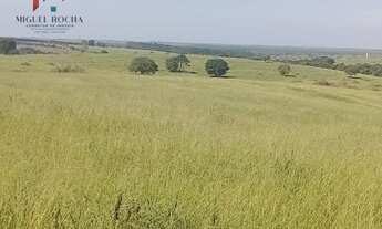 Imagem 5: Fazenda Região Botucatu SP