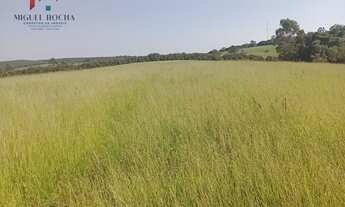 Imagem 4: Fazenda Região Botucatu SP