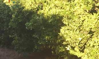 Imagem 3: Fazenda à venda no bairro Centro - Tatuí/SP