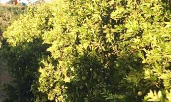 Imagem 4: Fazenda à venda no bairro Centro - Tatuí/SP