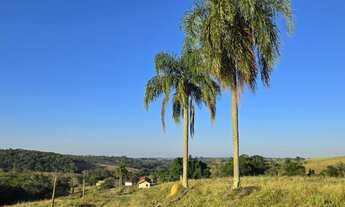 Imagem 4: Sítio São Miguel Arcanjo SP