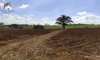 Imagem: Sítio em Cerquilho SP 24 alqueires