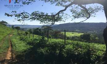 Imagem 4: Fazenda em São Carlos SP