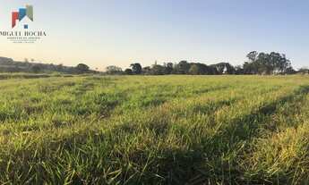 Imagem 5: Fazenda em São Carlos SP