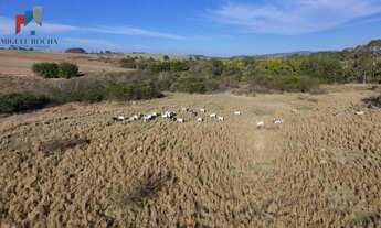 Imagem 3: Fazenda em Área Rural de Sorocaba, Sorocaba/SP