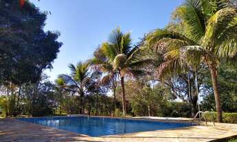 Imagem 2: Chácara em Jardim Santo Antônio, Quadra/SP