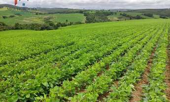 Imagem: Sítio em Centro, Pilar do Sul/SP