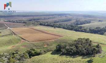 Imagem: Sítio São Miguel Arcanjo/SP