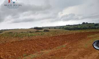 Imagem 4: Fazenda Região de Itapetininga SP