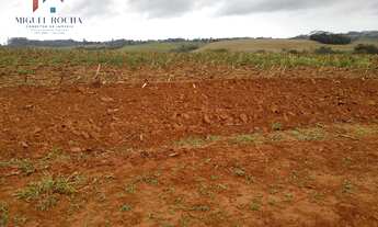 Imagem 3: Fazenda Região de Itapetininga SP