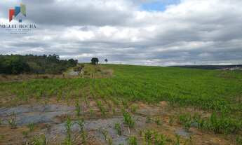 Imagem 2: Sítio no bairro Centro em Tatuí-SP