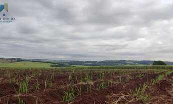 Imagem 4: Fazenda região de Tatuí SP