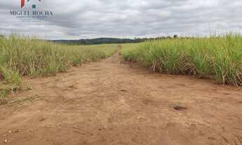 Imagem 6: Fazenda região de Tatuí SP