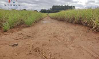 Imagem 7: Fazenda região de Tatuí SP