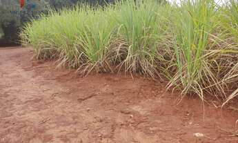 Imagem: Fazenda região de Tatuí SP