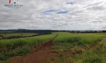 Imagem 2: Fazenda região de Tatuí SP