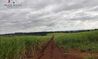 Imagem 3: Fazenda região de Tatuí SP