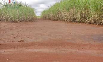 Imagem 5: Fazenda região de Tatuí SP
