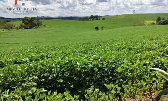 Imagem: Sítio a venda região São Miguel Arcanjo