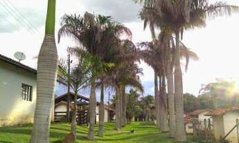 Imagem: Sítio à venda no bairro santa adelaide