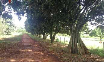 Imagem: Sítio à venda no bairro Mirandas - Tatuí/SP