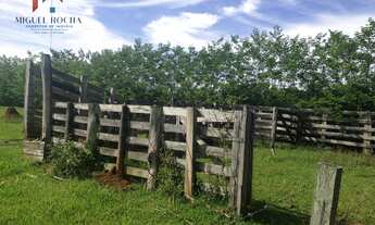 Imagem 6: Sítio à venda no bairro Mirandas - Tatuí/SP