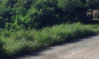Imagem: Sítio em Laranjal Paulista a venda