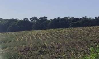 Imagem 2: Sítio em Laranjal Paulista a venda
