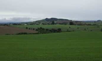 Imagem: Fazenda a venda