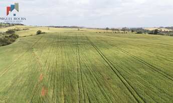 Imagem: Sítio em Itapetininga SP
