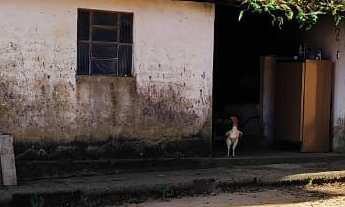 Imagem: Sítio a venda em Itapetininga SP