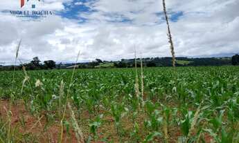 Imagem 2: Sítio em Centro, Tatuí/SP