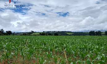 Imagem: Sítio em Centro, Tatuí/SP