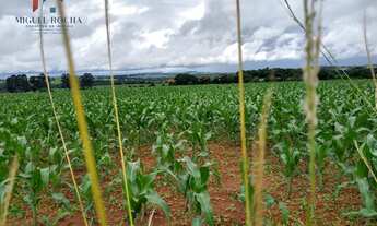 Imagem 4: Sítio em Centro, Tatuí/SP