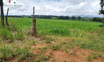 Imagem 6: Sítio em Centro, Tatuí/SP