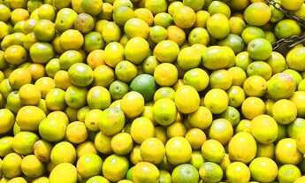 Imagem: Fazenda região de Araraquara SP