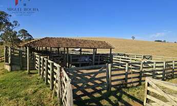 Imagem: Fazenda a venda Capão Bonito SP