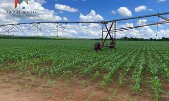 Imagem 6: Fazenda região de Avaré SP