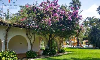 Imagem 7: Sítio em Tatuí SP