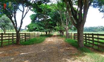 Imagem 6: Fazenda a venda região de Tatuí SP