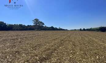 Imagem 3: Fazenda região de Avaré SP