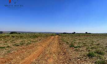 Imagem 4: Fazenda região de Avaré SP