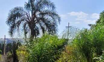 Imagem 7: Chacara-para-Venda-em-Jardim-Gramado-Tatui-SP, 3 dormitórios na Rua Benedito Lamosa