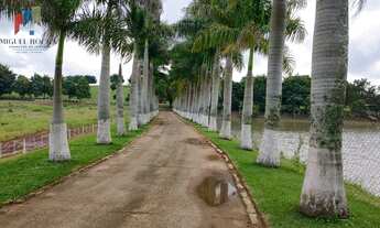Imagem: Fazenda região Itapetininga SP